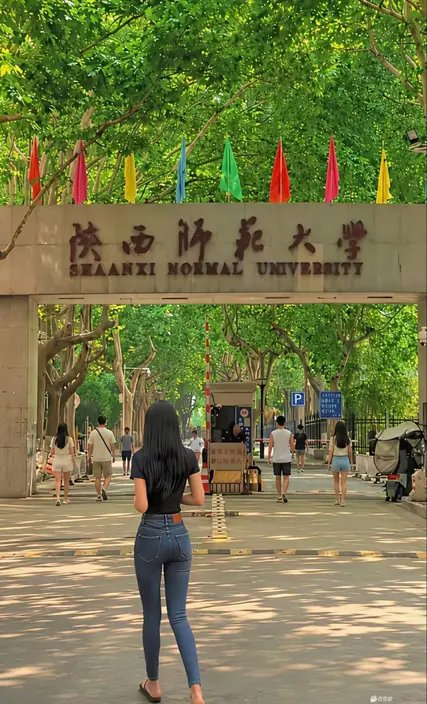 公开图片