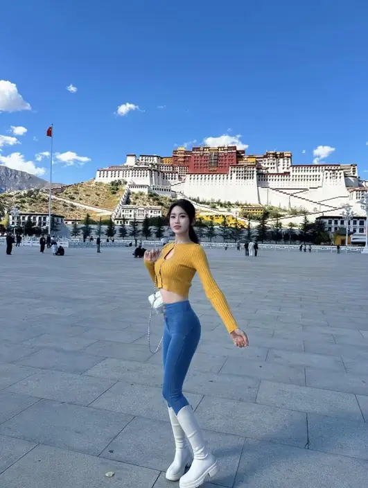 公开图片